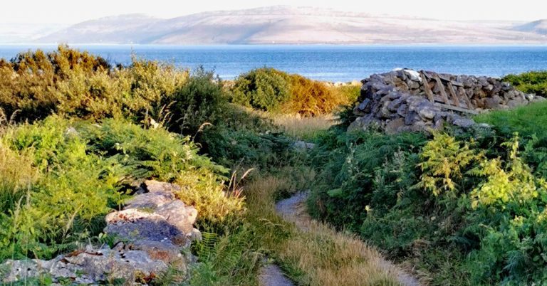 Taobh an Bhóthair