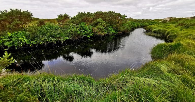 Srutháin agus Aibhneacha