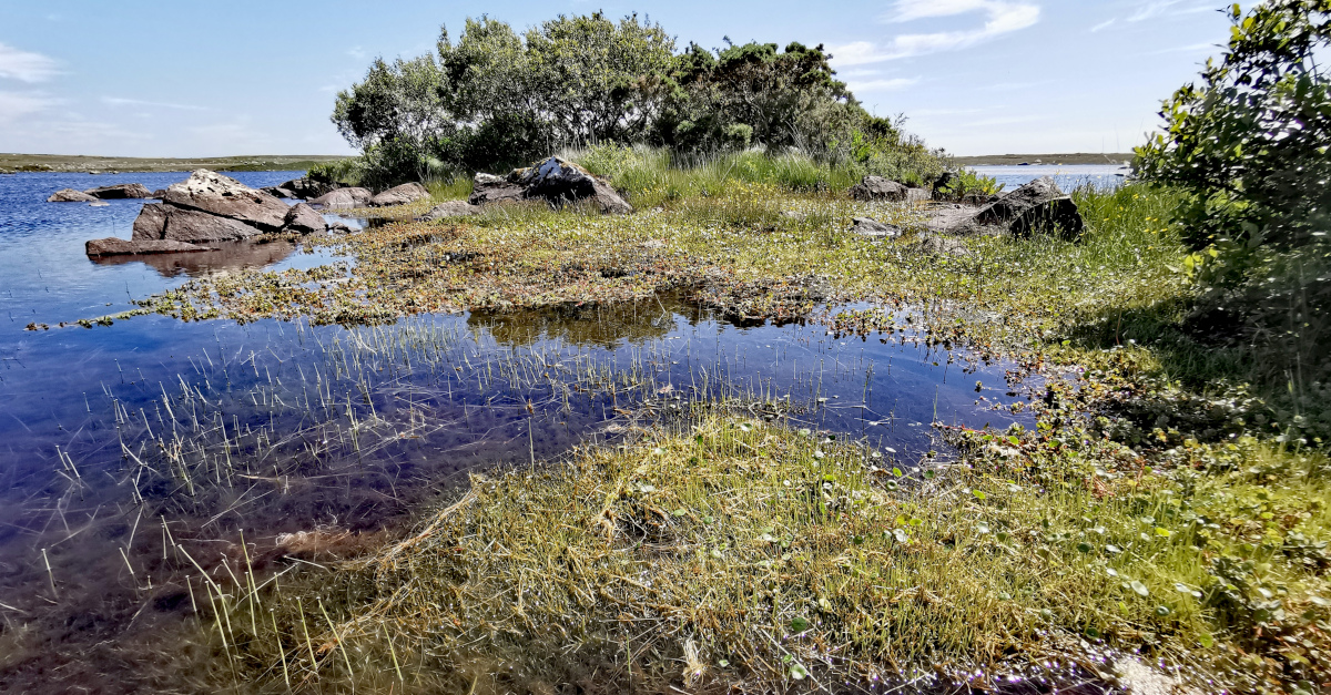 You are currently viewing Locháin Phortaigh