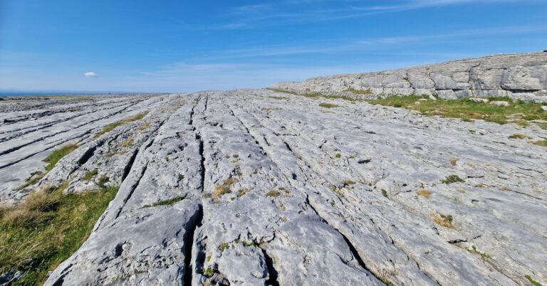Plandaí ar Phábháil Aolchloiche